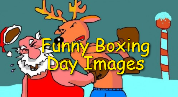 Happy Boxing Day Funny Images