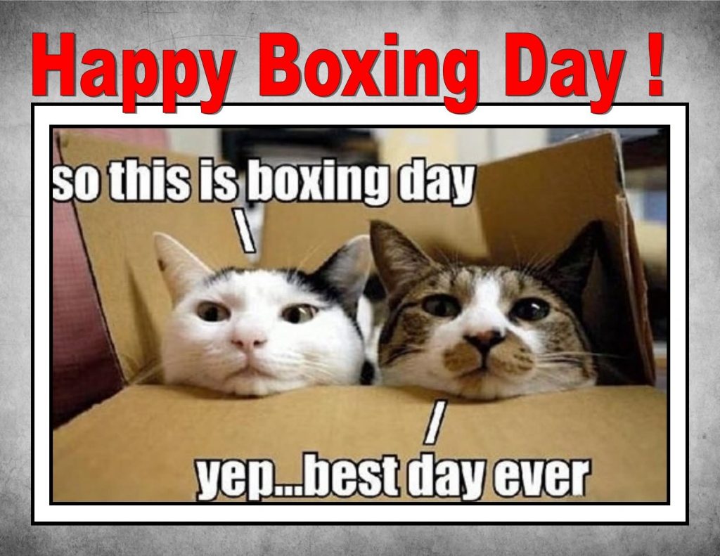 Happy-Boxing-Day-So-This-Is-Boxing-Day-Yep..-Best-Day-Ever- funny image