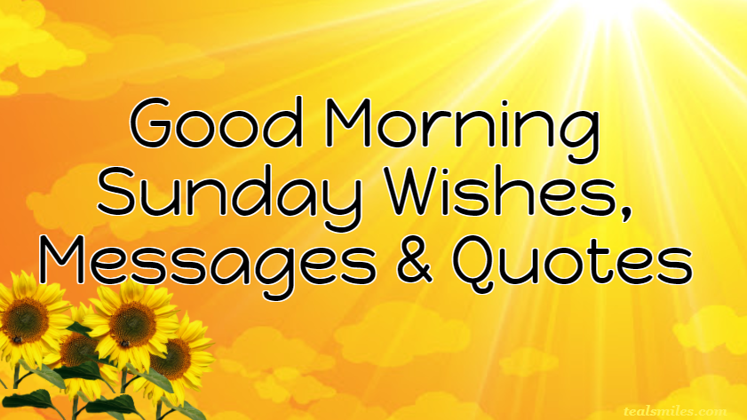 Happy Good Morning Sunday Wishes, Messages And Quotes