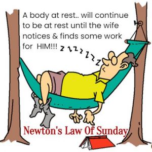 Newstons law of Sunday joke