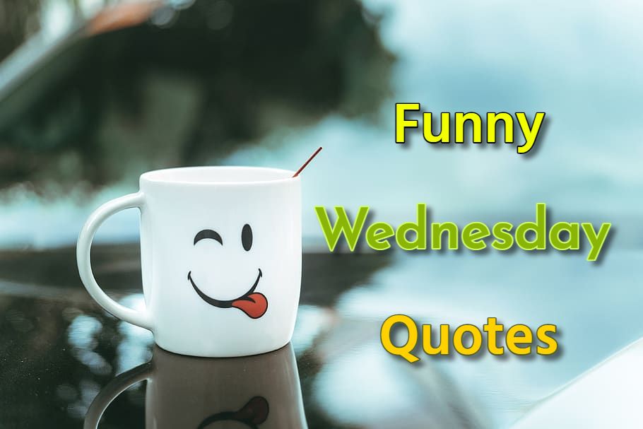Wednesday Funny Quotes That Will Make Your Day - Teal Smiles