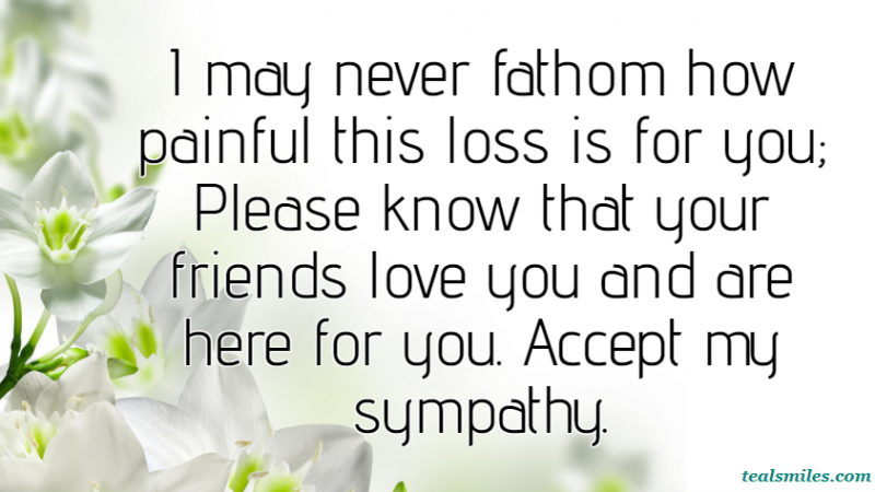 condolence-sympathy-messages-to friend-tealsmiles