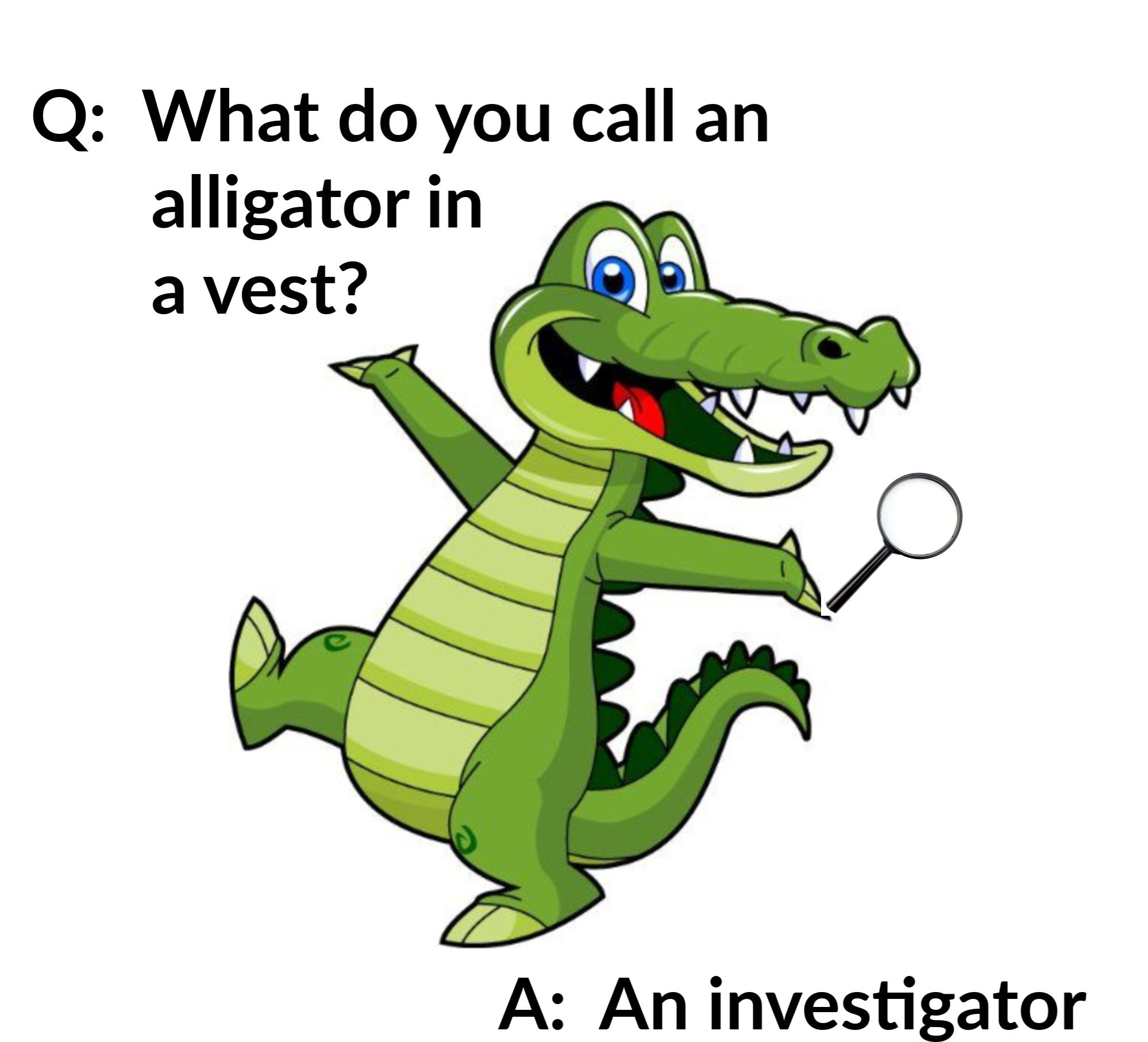 Funny Alligator Jokes