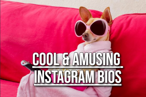 Funny Instagram Bio Ideas - Teal Smiles