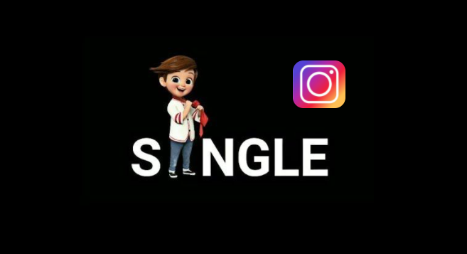 Instagram Bio For Singles Idea