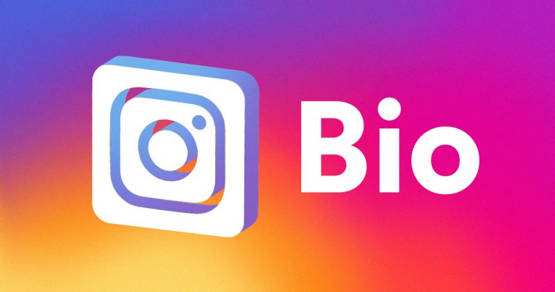 Best Instagram Bio For Students & School