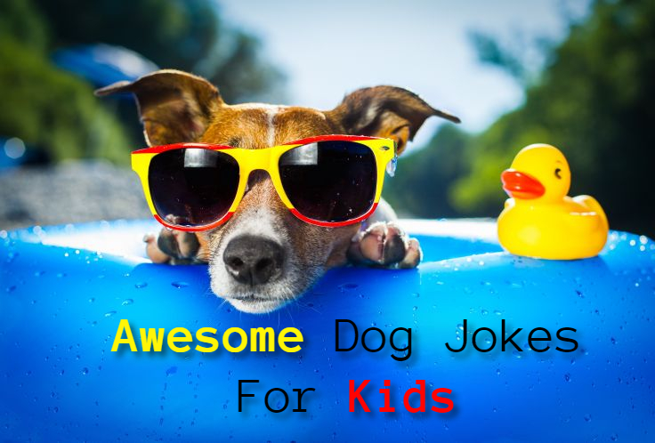 Dog Jokes For Kids