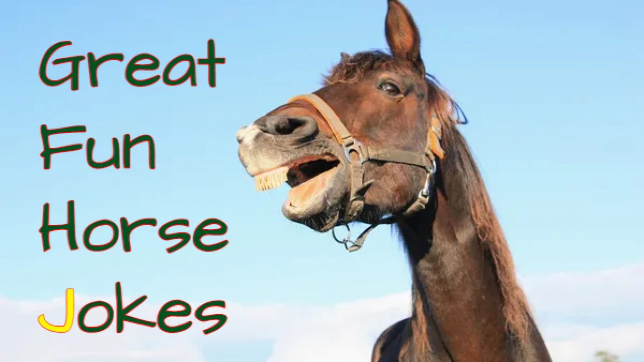 Horse Jokes For Kids