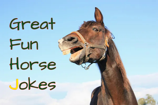 Funny Horse Jokes For A Good Giggle