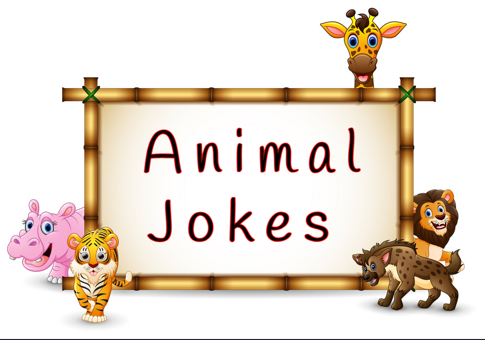 Funny Animal Jokes To Make One Laugh