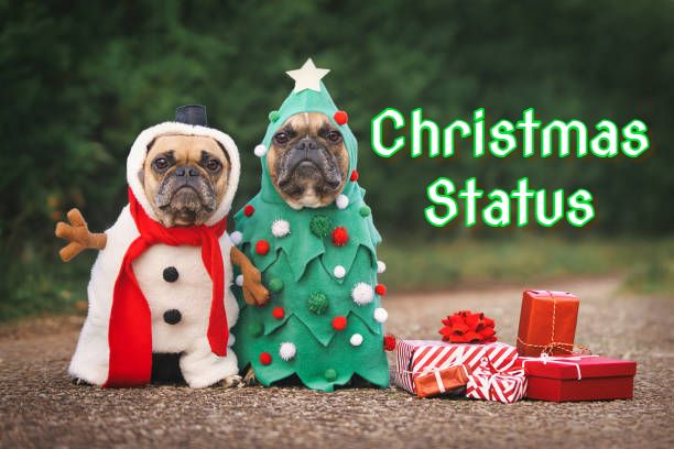 Merry Christmas Status Images